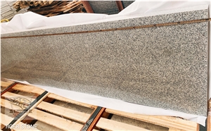 Salt And Pepper Granite COUNTER TOP