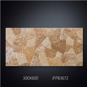 Kitchen Bathroom Simple Modern 300*600 Toilet Ceramic Tile