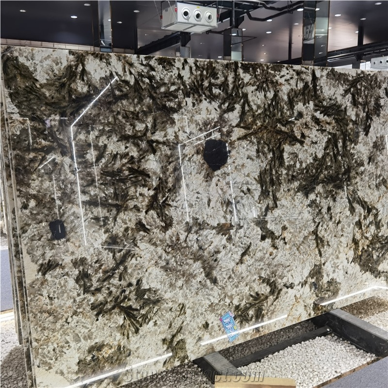 Alpinus Black Crystal Quartzite Slab For Indoor Wall Floor