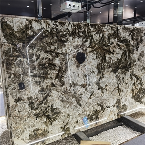 Alpinus Black Crystal Quartzite Slab For Indoor Wall Floor