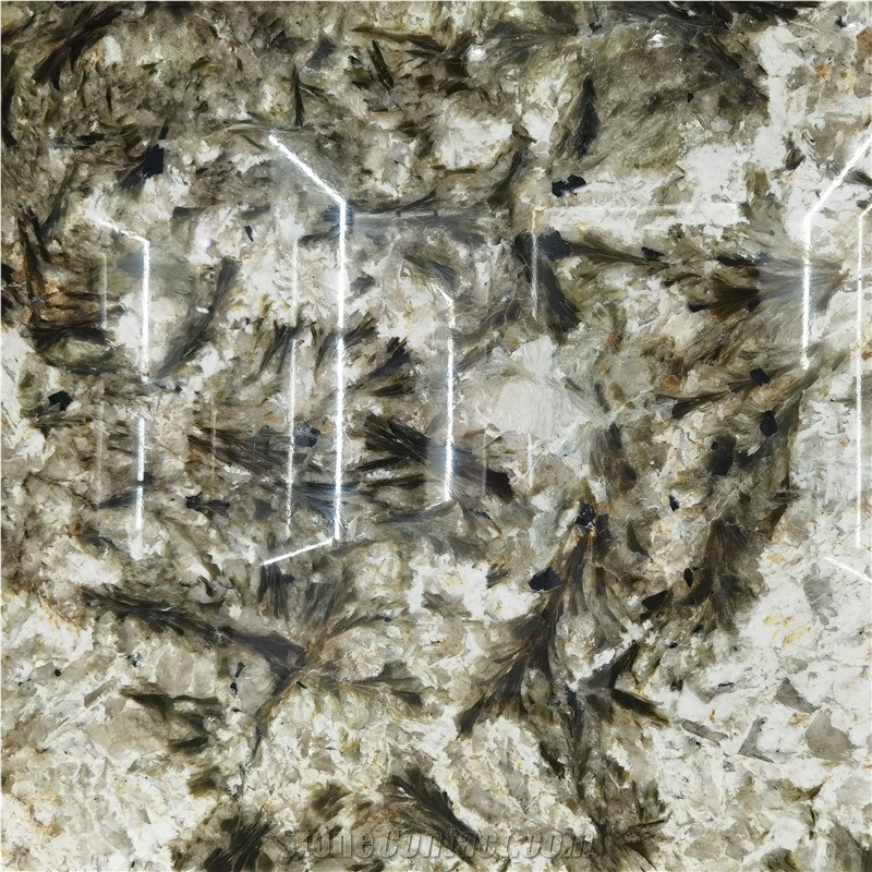 Alpinus Black Crystal Quartzite Slab For Indoor Wall Floor