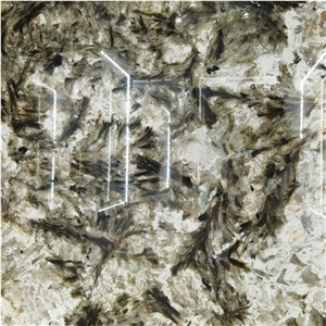 Alpinus Black Crystal Quartzite Slab For Indoor Wall Floor
