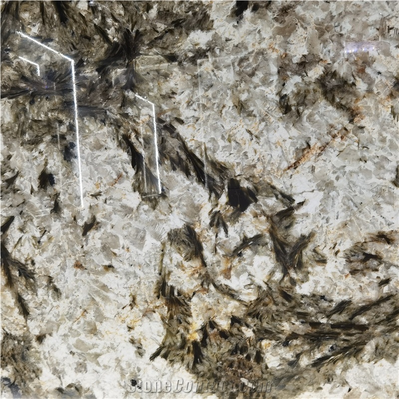 Alpinus Black Crystal Quartzite Slab For Indoor Wall Floor