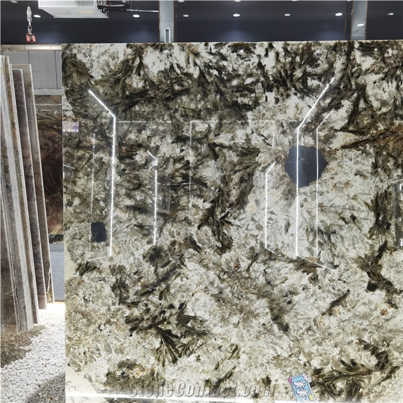 Alpinus Black Crystal Quartzite Slab For Indoor Wall Floor