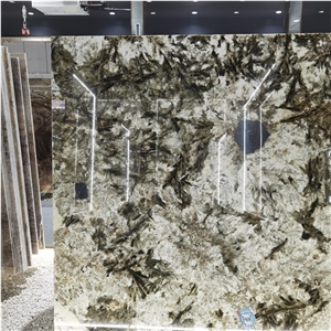 Alpinus Black Crystal Quartzite Slab For Indoor Wall Floor