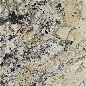 Alpinus Patagonia Crystal Quartzite Pattern Exotic Stone