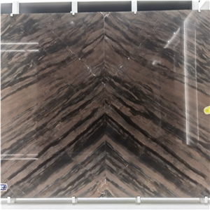 Elegant Brown Book Match Quartzite Exotic Stone Slab