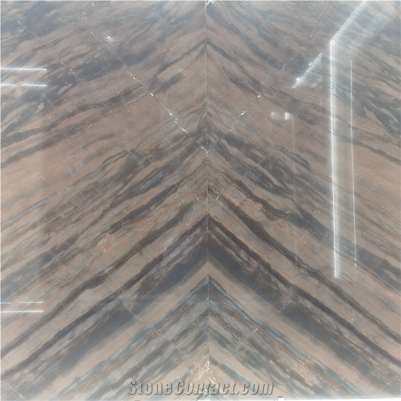Elegant Brown Book Match Quartzite Exotic Stone Slab