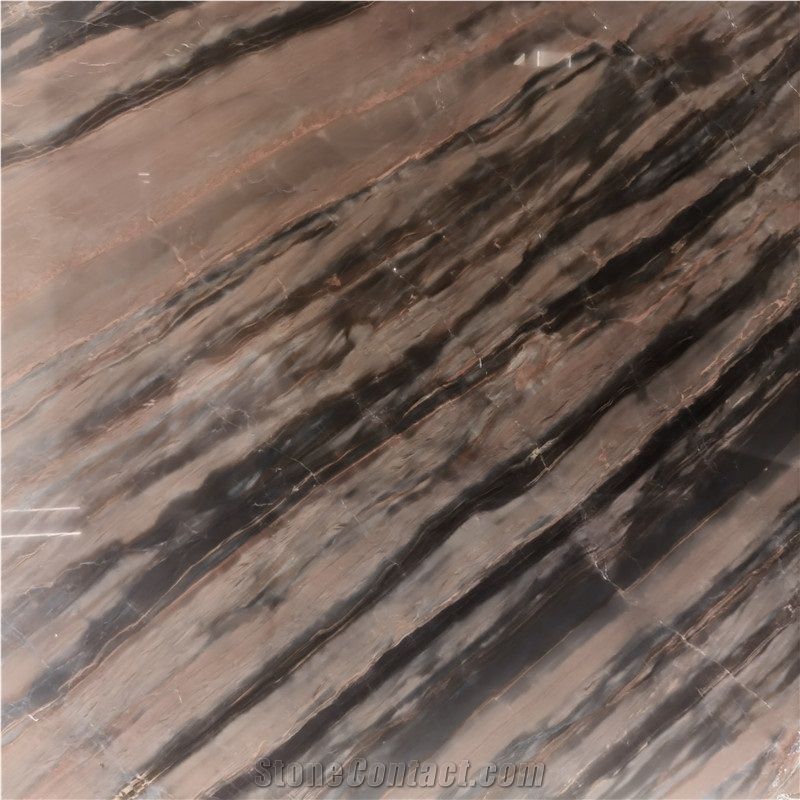 Elegant Brown Book Match Quartzite Exotic Stone Slab