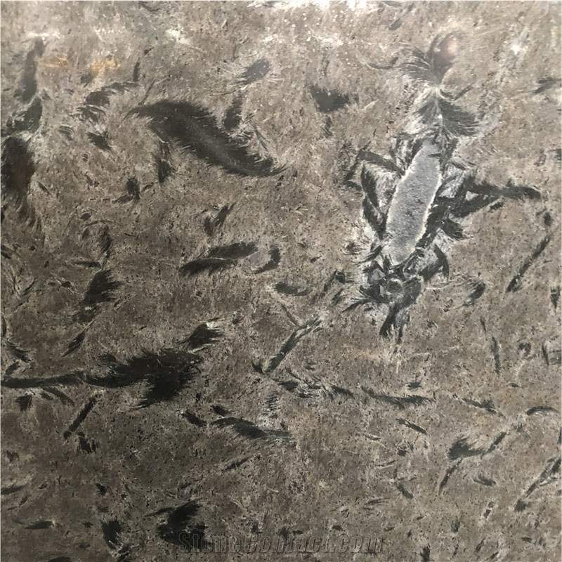Goose Grey Materous Brazilian Exotic Granite Slab