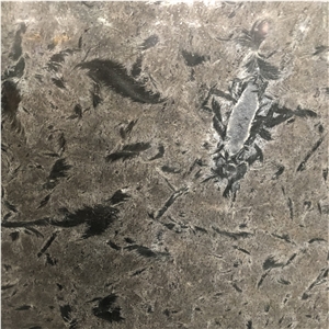 Goose Grey Materous Brazilian Exotic Granite Slab