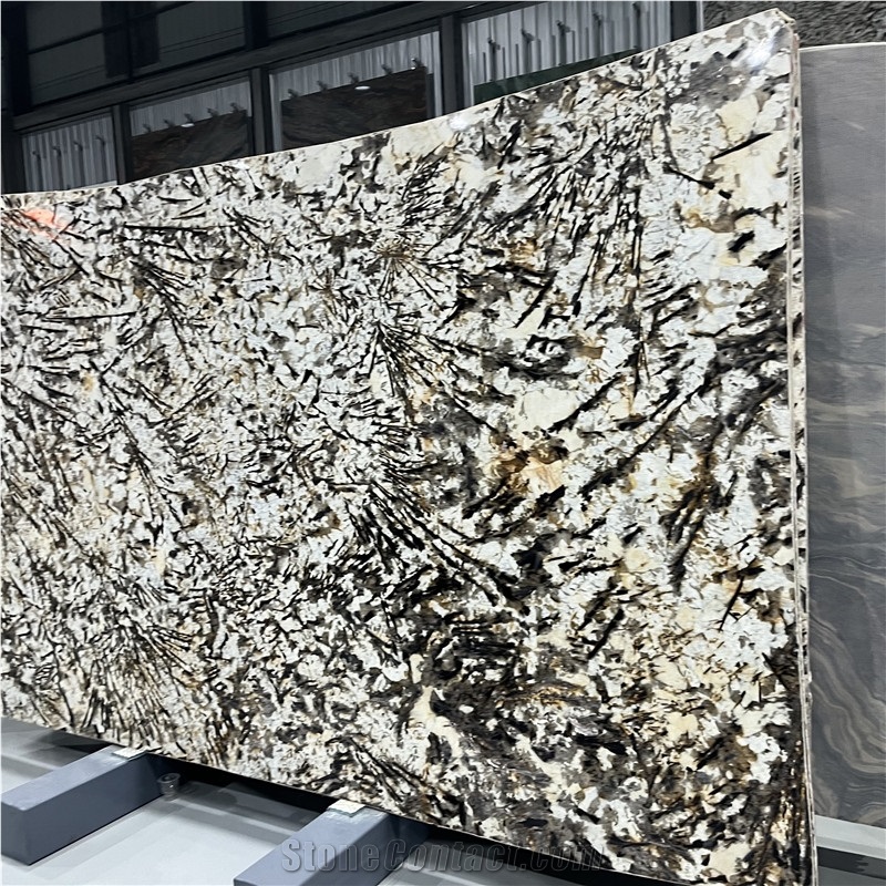 Import Snow Mountain Silver Fox Granite Slabs Walling Tiles