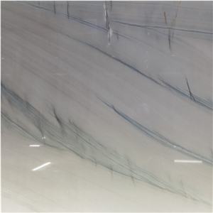 Super White Calacatta Grey Quartzite Exotic Stone