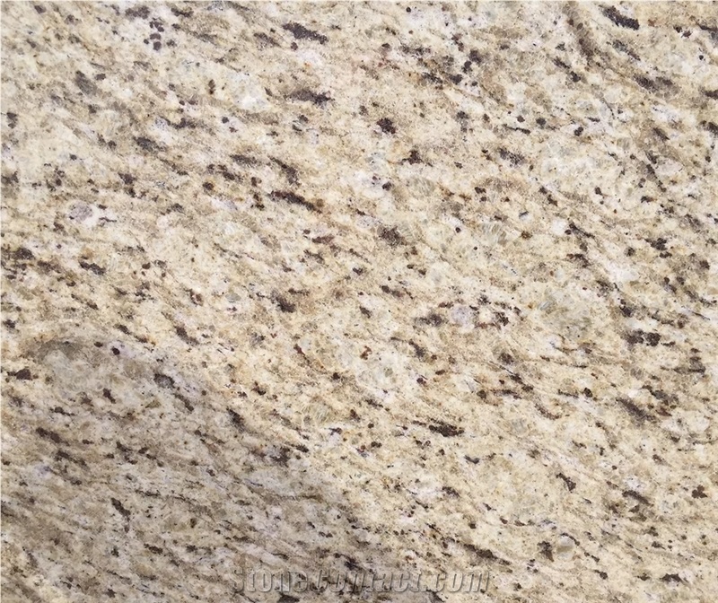 Giallo Ornamental Granite Slabs & Tiles