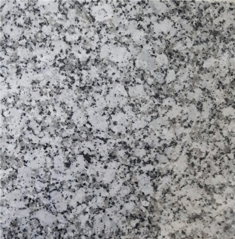 Platinum Grey Cutter