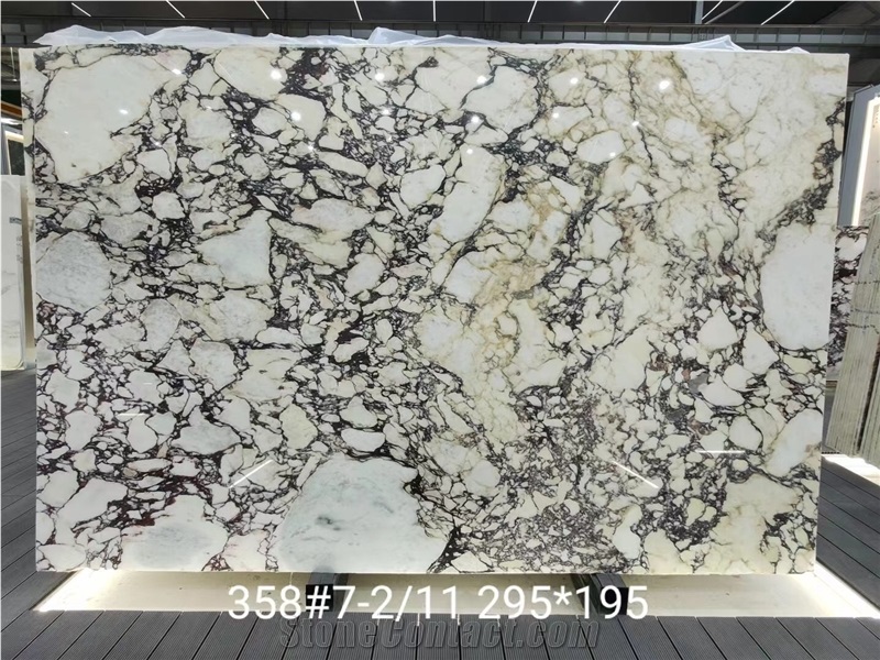 Breccia Capraia Marble Slab Italy Viola Calacatta Dolomite