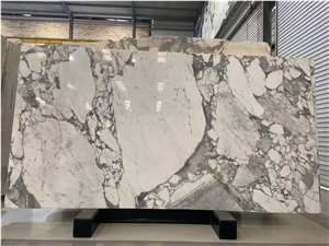 Breccia Capraia Marble Slab Italy Viola Calacatta Dolomite