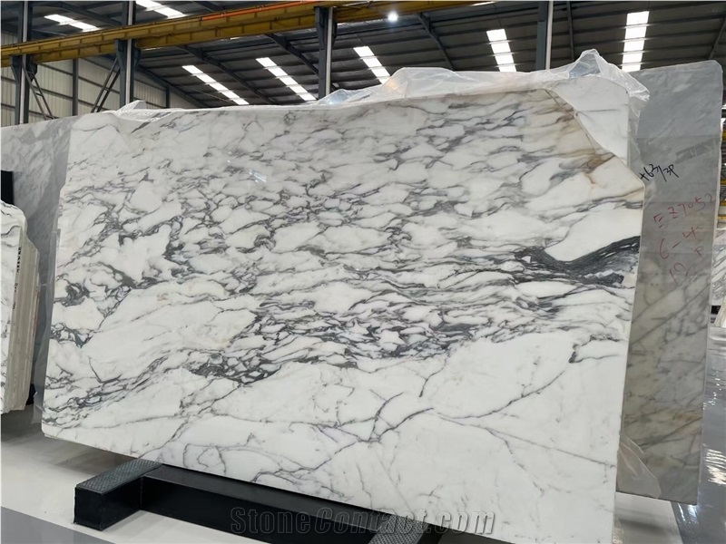 Breccia Capraia Marble Slab Italy Viola Calacatta Dolomite