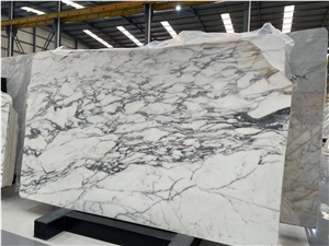Breccia Capraia Marble Slab Italy Viola Calacatta Dolomite