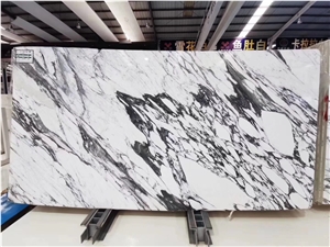 Breccia Capraia Marble Slab Italy Viola Calacatta Dolomite