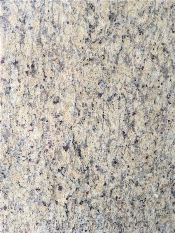 Leathered Granite Slab Giallo Santa Exotic Slab Wall Tile