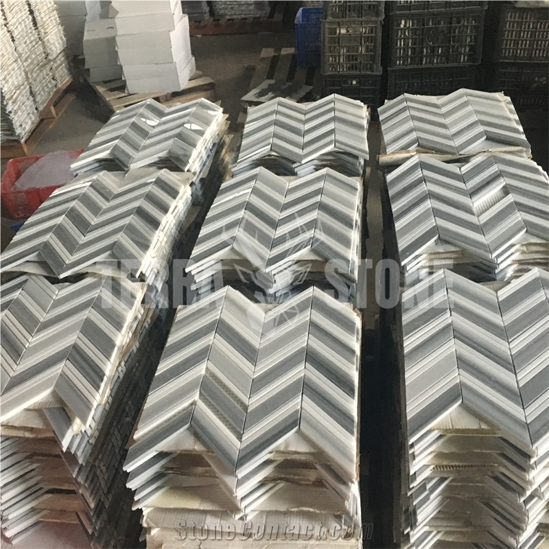Marmara And Thassos White Marble Mosaic Chevron Tile