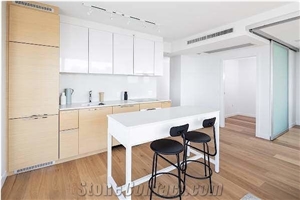 Snow White Quartz Pure White Quartz Kitchen Top Artificial Stone