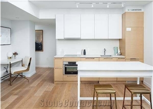 Snow White Quartz Pure White Quartz Kitchen Top Artificial Stone