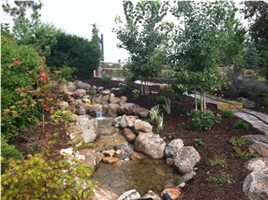 Water Features Water Features