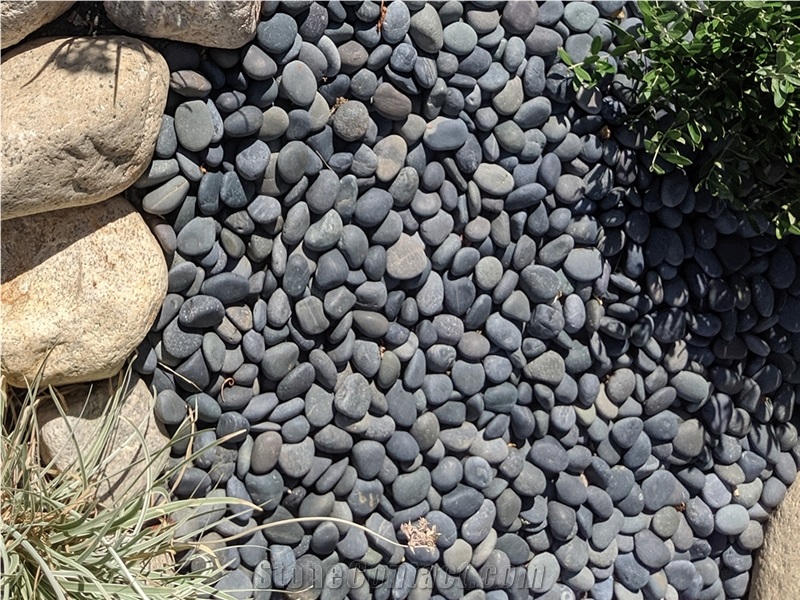 Black Mexican Beach Pebbles 1/2"- 1"