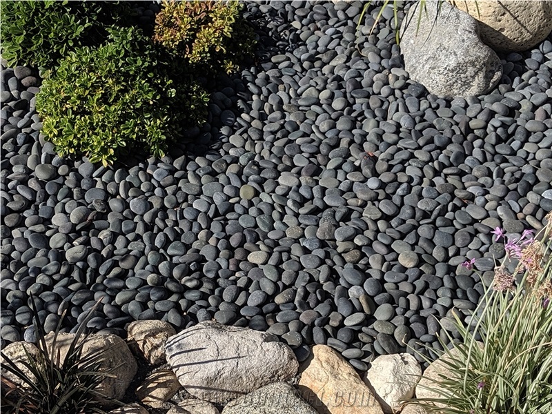 Black Mexican Beach Pebbles 1/2"- 1"