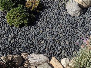Black Mexican Beach Pebbles 1/2"- 1"