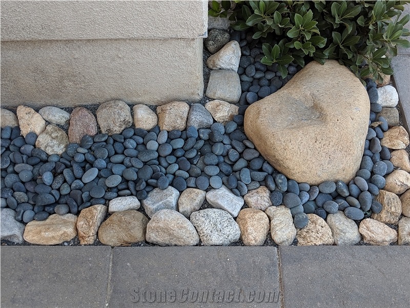 Black Mexican Beach Pebbles 1/2"- 1"