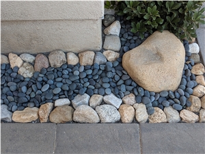 Black Mexican Beach Pebbles 1/2"- 1"