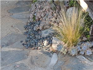 Black Mexican Beach Pebbles 1/2"- 1"