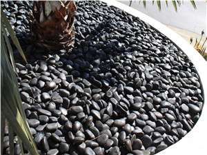 Black Polished Pebbles 2"- 3"
