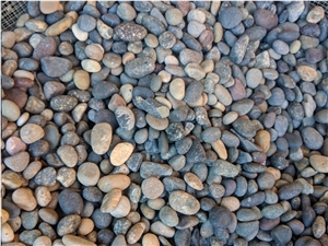 Mixed Colors Mexican Beach Buttons 3/8" - 5/8"