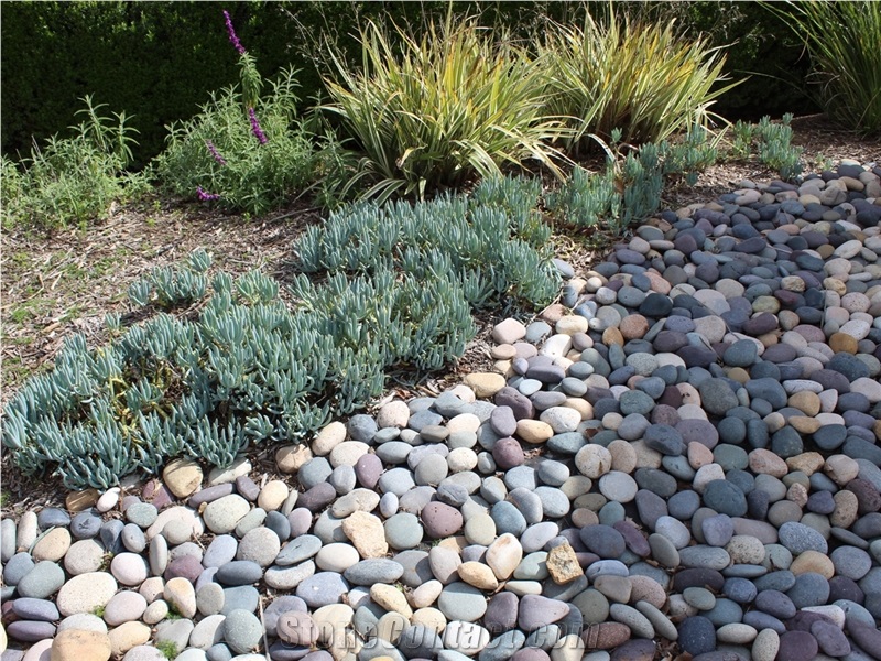 Mixed Colors Mexican Beach Pebbles 1"- 2"