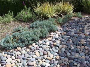 Mixed Colors Mexican Beach Pebbles 1"- 2"