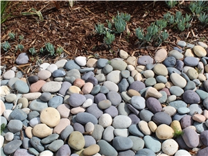 Mixed Colors Mexican Beach Pebbles 1"- 2"