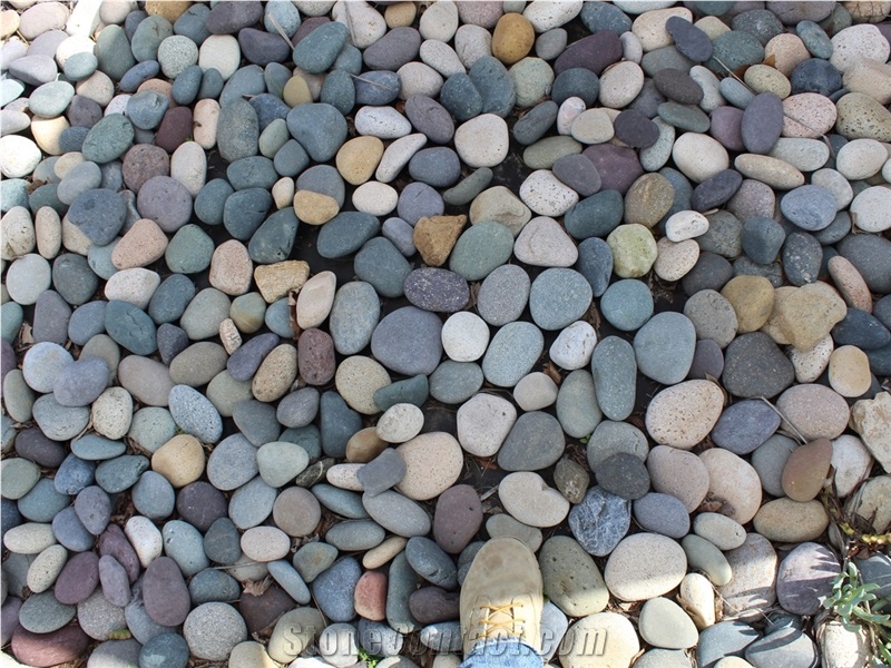 Mixed Colors Mexican Beach Pebbles 1"- 2"