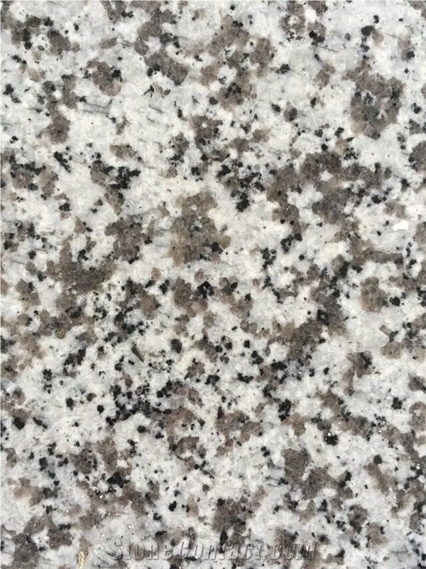 China G439 Polished Granite Tile,Bianco Sardo Tile