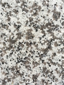 China G439 Polished Granite Tile,Bianco Sardo Tile