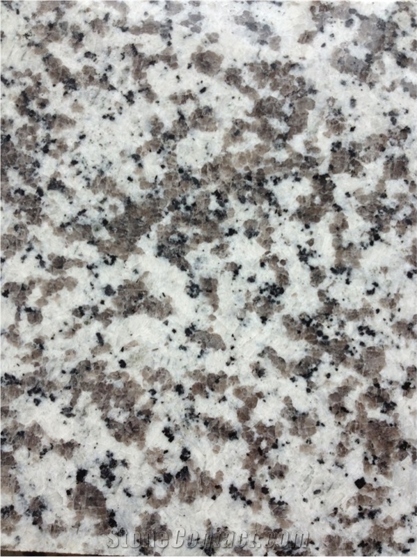 China G439 Polished Granite Tile,Bianco Sardo Tile