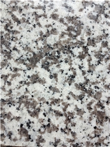 China G439 Polished Granite Tile,Bianco Sardo Tile