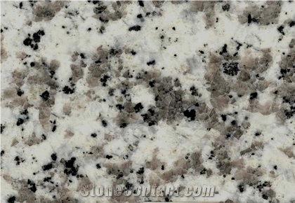 China G439 Polished Granite Tile,Bianco Sardo Tile