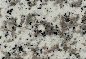 China G439 Polished Granite Tile,Bianco Sardo Tile