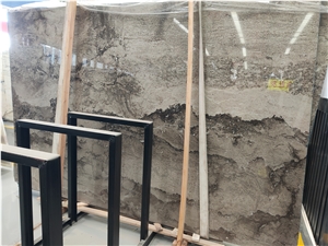 New Luxury Andes Grey Marble Polished Slab Price