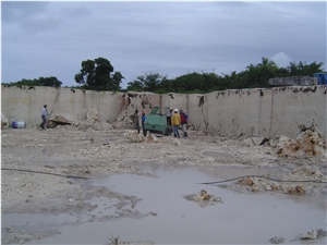 Dominican White Coral Stone Quarry