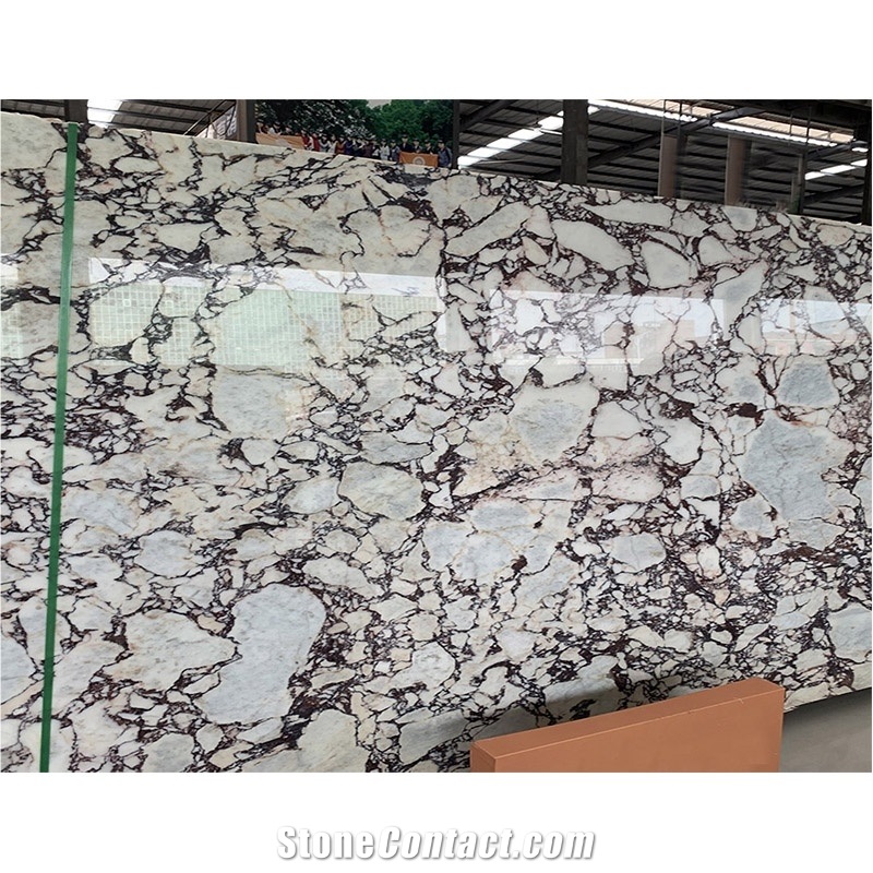 Calacatta Violet Marble With Purple Veins Slab And Tile